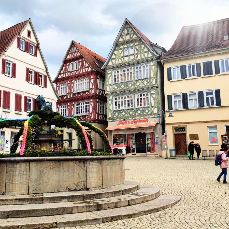 Im Herzen Der Altstadt Фаинген-ан-дер-Енц Екстериор снимка